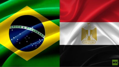 صورة إلغاء المباراة الودية بين مصر والبرازيل استعدادا لمونديال كرة اليد